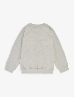 Mini Rodini Pelican-print Raglan-sleeve Cotton-jersey Sweatshirt 18 Months - 11 Years -Boutique Fashionable Childrens Clothing Store R04131140 GREYMELANGE ALT02